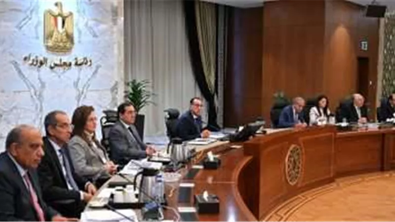الحكومة تستهدف تنويع محفظة الاحتياطي من النقد الأجنبي وتقليل الضغط على الجنيه