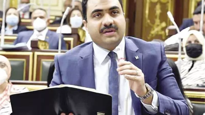 برلماني: الانتخابات تأتي في توقيت استثنائي.. والمصريين بالخارج سيسطرون ملحمة وطنية