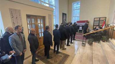 اتحاد المصريين بالخارج: مشهد المواطنين في الانتخابات الرئاسية كان عُرس ديمقراطي