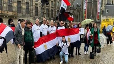 على أنغام الأغاني الوطنية.. الجالية المصرية فى لندن تحتشد أمام المقر الانتخابى للإدلاء بأصواتهم