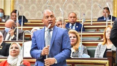 النائب الأول لرئيس حزب حماة وطن: مشهد الانتخابات في الخارج مشرف