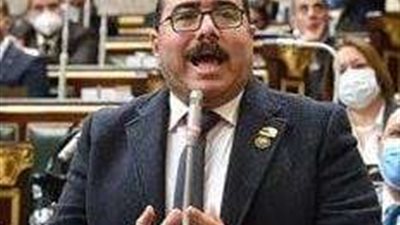 برلماني: العملية الانتخابية في الخارج 
