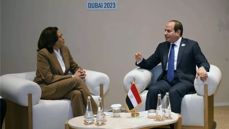 الرئيس السيسي يبحث مع نائبة الرئيس الأمريكي دعم الأمن والاستقرار في الشرق الأوسط