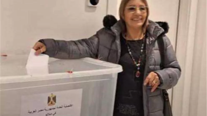 أستاذ علوم سياسية: إقبال المصريين على الانتخابات في الخارج بروفة للمشهد الداخلي المقبل