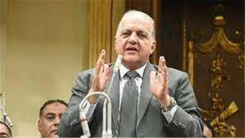 طاقة النواب: السيسي لم يدخر جهدًا في ربط المصريين بالخارج بوطنهم