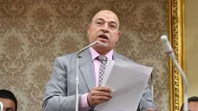 حسن المير: تأييد السيسي أمرًا ضروريًا لمواجهة التحديات الأمنية والسياسية