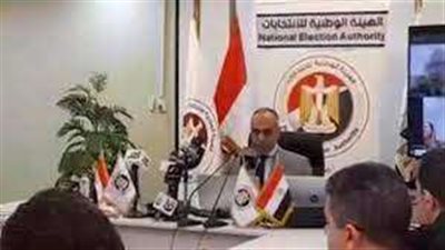 «الوطنية للانتخابات»: المصريون بالخارج شاركوا بفعالية فى انتخابات الرئاسة