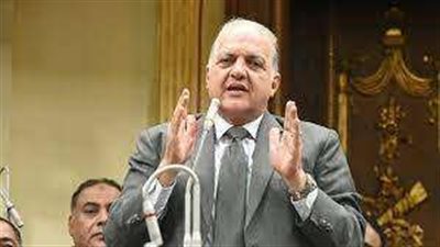 «رئيس طاقة النواب»: الواقع والتاريخ أكدا للعالم أن المصريين لا يترددون فى تقديم أرواحهم فداء للوطن