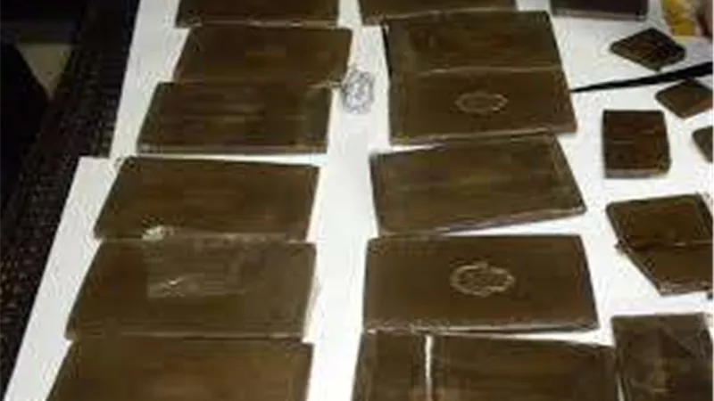 مداهمة أوكار الكيف.. الداخلية تضبط 250 طربة حشيش بالدقهلية
