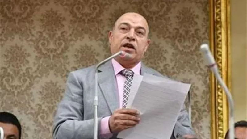حسن المير: تأييد السيسي أمرًا ضروريًا لمواجهة التحديات الأمنية والسياسية
