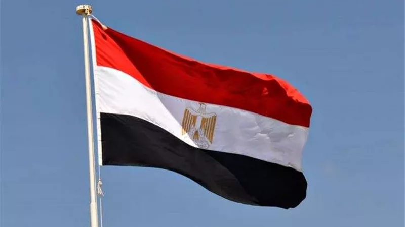 فئات ليس لها حق التصويت في الانتخابات الرئاسية|تفاصيل