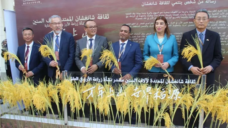 بالصور..  تنشيط واستخدام وتوارث ثقافة.. الدلالة الفريدة لأثار شانغشان بالصين