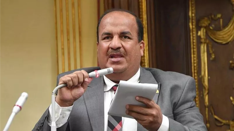 وكيل اقتصادية النواب: السيسي حقق إنجازات متعددة والمصريين سيردون الجميل