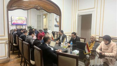 مصر بالمصريين.. انعقاد دائم لغرفتي عمليات تنسيقية شباب الأحزاب والسياسيين لمتابعة الانتخابات الرئاسية المصرية