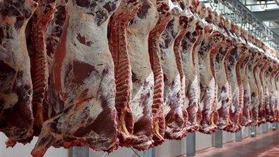 تعرف على اسعار اللحوم الحمراء اليوم الثلاثاء بالأسواق