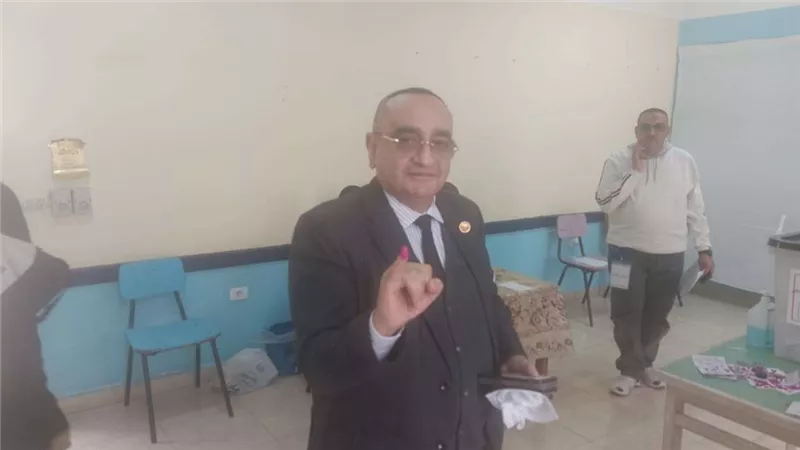 نائب رئيس حزب 