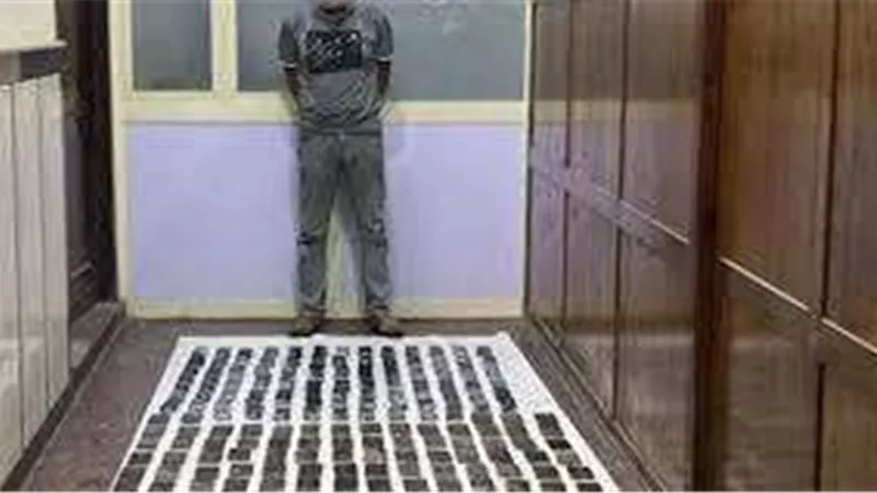 دولاب مخدرات متحرك.. إحباط توزيع 234 طربة حشيش بحوزة سائق بالجيزة