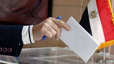 للمرة الأولى.. لجنتين انتخابيتين للمغتربين بمطار القاهرة |فيديو