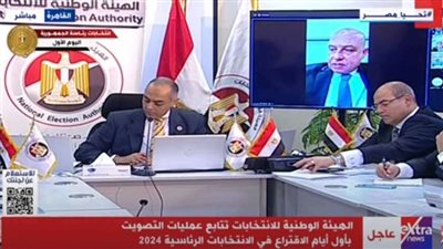 أستاذ قانون دستوري: 3 خطوات للانتخاب.. التصويت والفرز وإعلان النتيجة