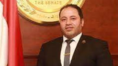 مصطفى سالمان: استمرار انتهاكات الاحتلال تستوجب تحرك دولي قوي لوقف إطلاق النار