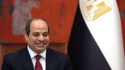 «الأعلى للإعلام»: الرئيس أنقذ البلاد من السقوط وسيصل بها إلى بر الأمان