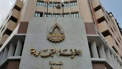 أيمن هيبة: استخدام الطاقة الجديدة أحد أهم آليات التحول للاقتصاد الأخضر