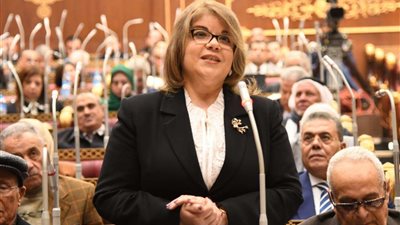 فيبي فوزي تطالب بتطبيق أساليب هادفة لمواجهة المتغيرات المناخية على الثروة السمكية