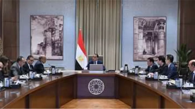 رئيس الوزراء يبحث مع شركتين صينيتين فرص الاستثمار في مجال الخلايا الشمسية