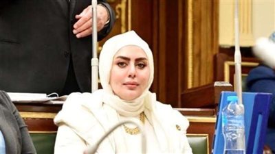 النائبة رحاب موسى: التوسع في تحويل السيارات للعمل بالغاز الطبيعي تهدف الحفاظ على البيئة وتقليل الاعتماد على المشتقات البترولية