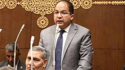 عادل اللمعي: نثق في قدرة القيادة السياسية على حماية الملاحة بقناة السويس