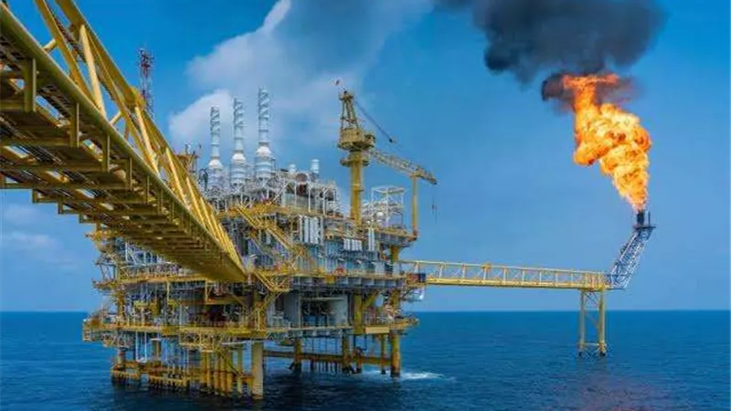 زيادة استهلاك الغاز الطبيعي وتراجع استهلاك المنتجات البترولية في السوق المحلي خلال عام 2023