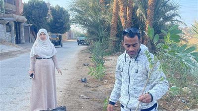 محافظ أسيوط: تنفيذ أعمال تشجير وزراعة شتلات ضمن مبادرة 100مليون شجرة