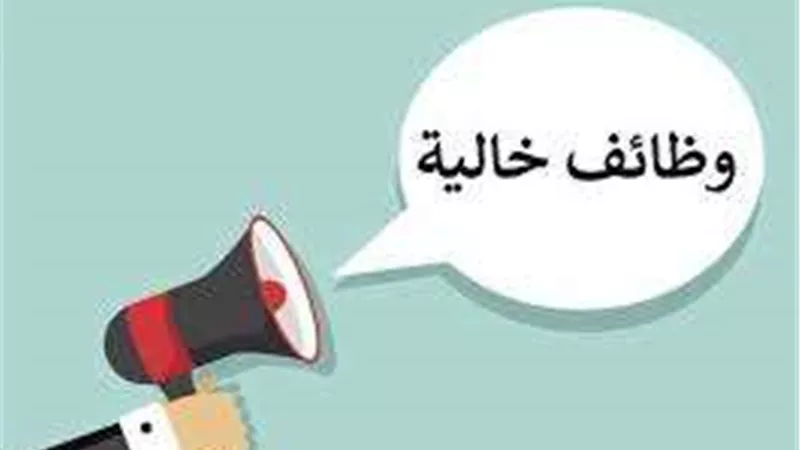 الهيئة القومية: وظائف خالية وفرتها الحكومة في 9 تخصصات