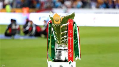 أبطال بدون كأس.. منتخب فلسطين بطل لكأس آسيا 2023