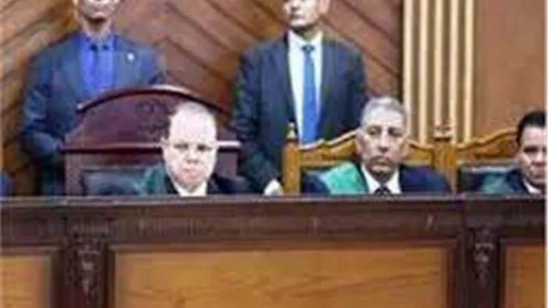 السجن المشدد 5 سنوات للمتهم في قضية أحداث أبو النمرس