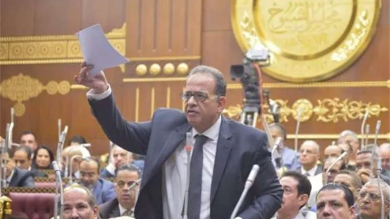 نائب برلمانية الوفد بـ