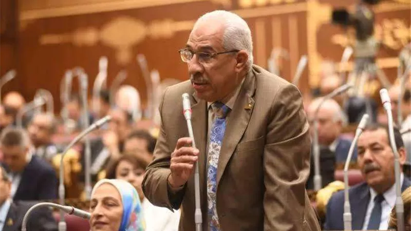 طاقة الشيوخ: فلسطين تتعرض لأبشع عدوان... وتوقيت قمة العقبة بالغ الحساسية