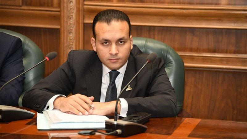 النائب عمرو فهمي