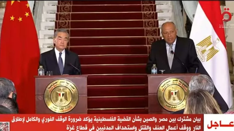 سامح شكري: إسرائيل تعرقل تدفق المساعدات الإنسانية إلى غزة