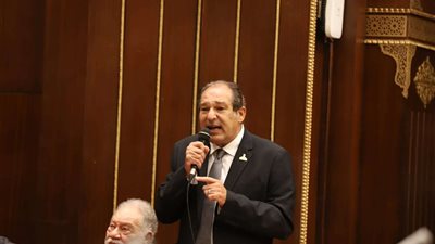 «برلمانية مستقبل وطن بالشيوخ» تطالب بخطة لتنشيط كافة أنماط السياحة
