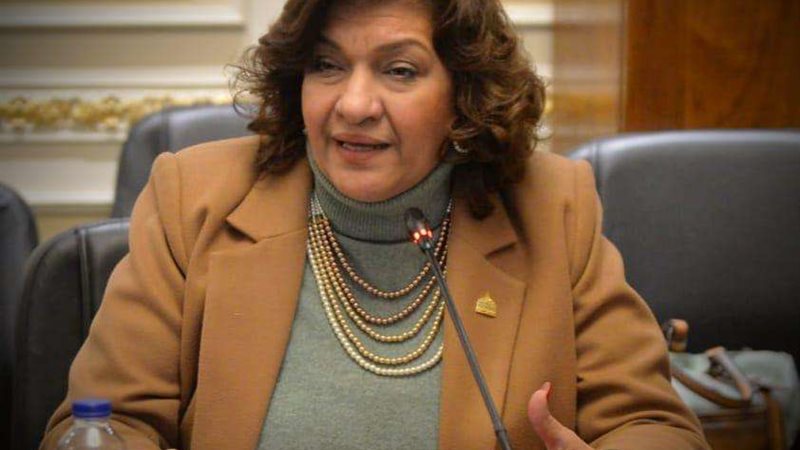 النائبة ايفلين متى