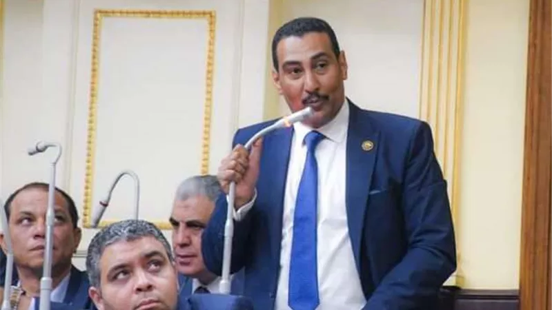برلماني: تعرضت لضغوط كبيرة بسبب مواجهتي 