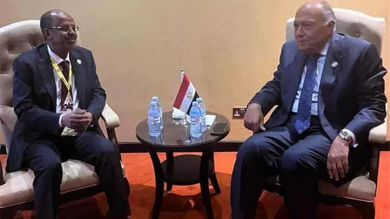 وزير الخارجية يبحث تطورات الأزمة السودانية مع نظيره الجيبوتي
