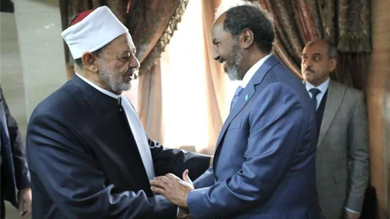 الإمام الأكبر يستقبل الرئيس الصومالي ويؤكِّد تضامنه مع الصومال في الحفاظ على وحدة أرضه