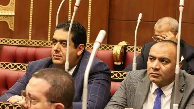 نواب الشيوخ يشيدون بإعلان الحكومة الخطة التنفيدية للحوار الوطني