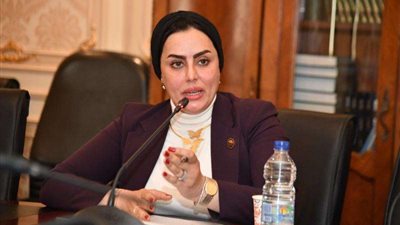 برلمانية: الاحتفال بعيد الشرطة واجب وطني ورد جميل لرجال ضحوا بأرواحهم للحفاظ على الوطن