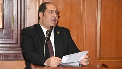 أحمد نويصر: القطاع الخاص شريك أساسي في التنمية وبناء الجمهورية الجديدة