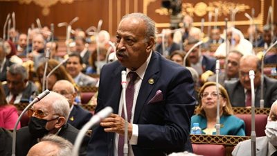 برلماني: القيادة السياسية تؤمن بأهمية مخرجات الحوار الوطني