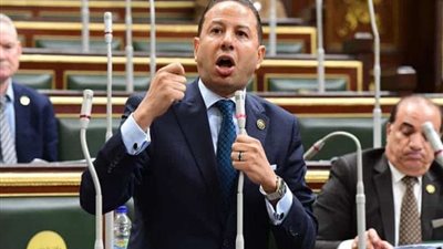 برلماني: الحوار الاقتصادي بوابة مهمة لخلق مساحات مشتركة