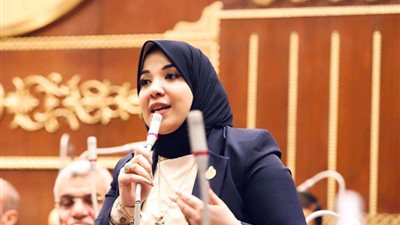 دينا هلالي تُطالب بتفعيل برنامج موحد لتأهيل الخريجين بالجامعات